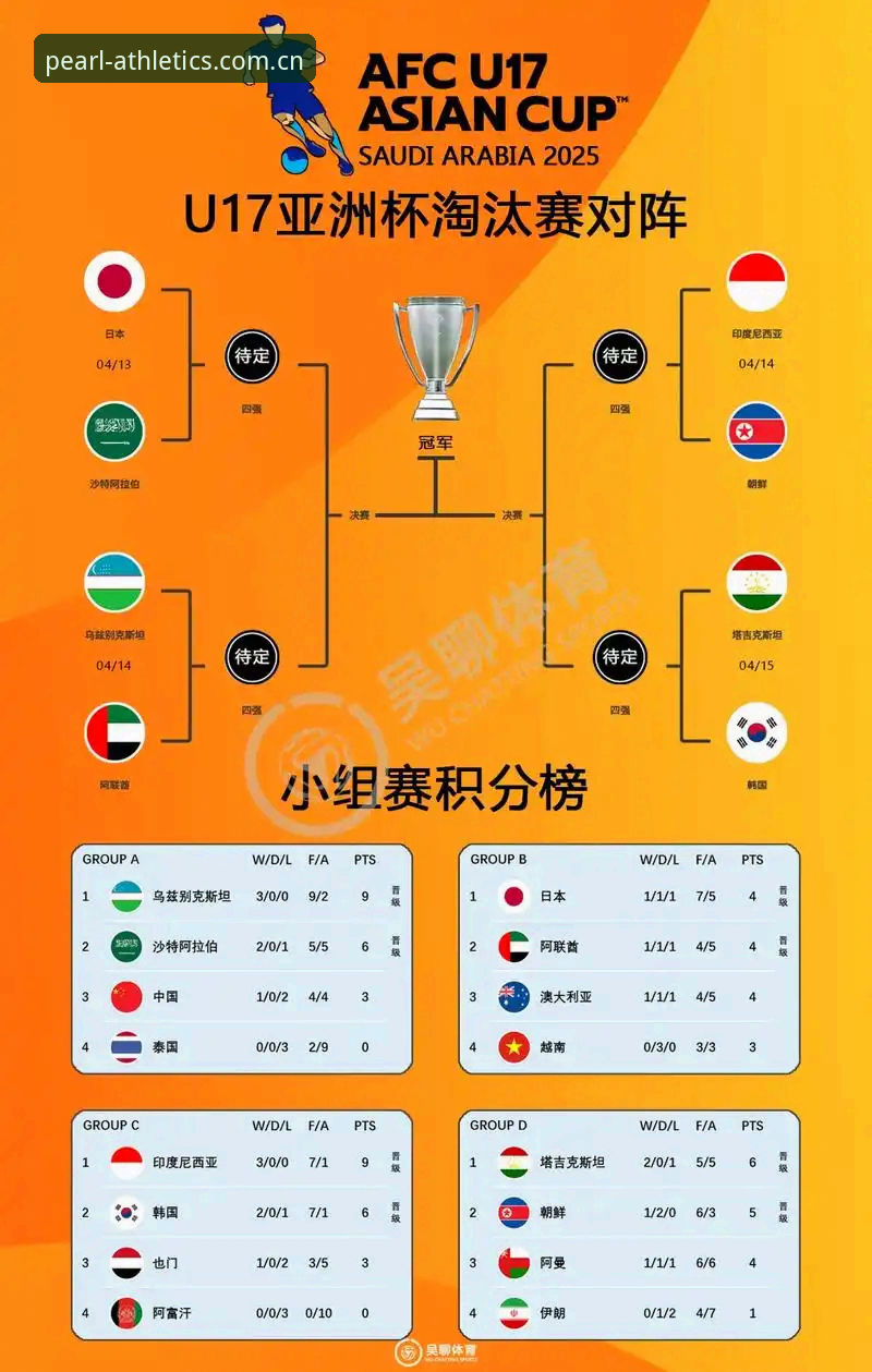 U17世界杯抽签结果深度解析：如何在龙珠体育平台追踪国足表现教程